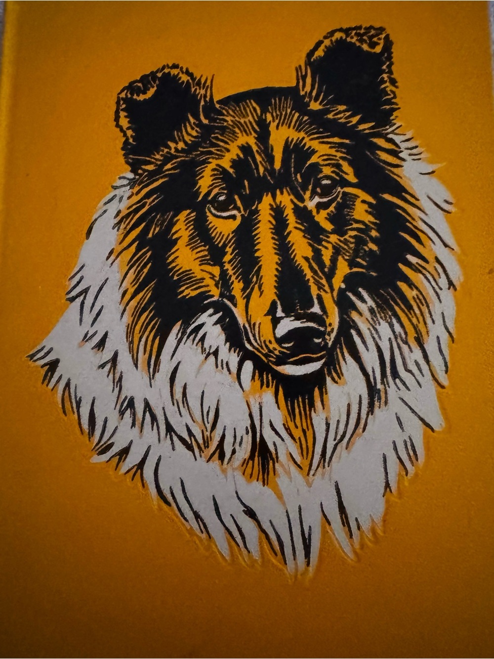 Collie Dog Art Print in Gold and White by